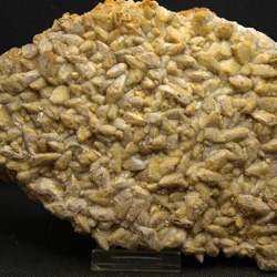 Minerales de la provincia de Alicante. Calcita