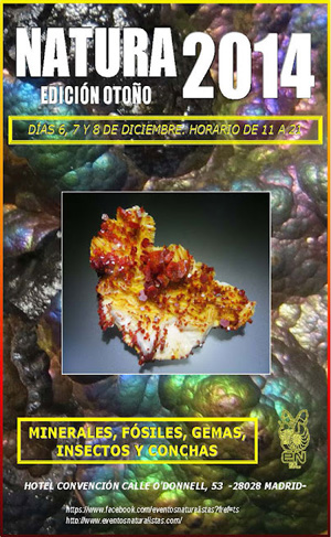 Federación Española de Mineralogía. Carteles antiguos de ferias y eventos