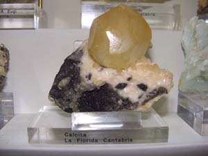 Coleccion de minerales de Jaume Vilalata Pich