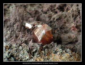 Coleccin de Minerales de JOS SNCHEZ JIMENEZ