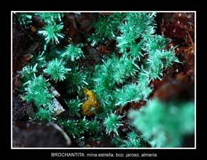 Coleccin de Minerales de JOS SNCHEZ JIMENEZ