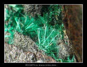 Coleccin de Minerales de JOS SNCHEZ JIMENEZ