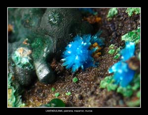 Coleccin de Minerales de JOS SNCHEZ JIMENEZ