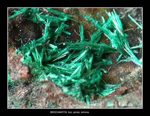 Coleccin de Minerales de JOS SNCHEZ JIMENEZ