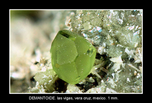 Coleccin de Minerales de JOS SNCHEZ JIMENEZ