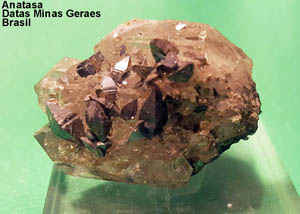 Coleccin de Minerales de Kino Cortes