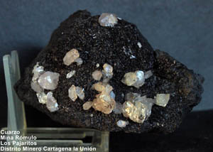 Coleccin de Minerales de Juan Francisco Nuet Garcia