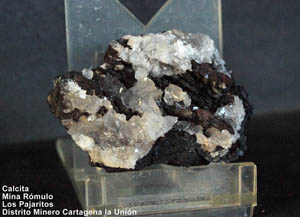 Coleccin de Minerales de Juan Francisco Nuet Garcia