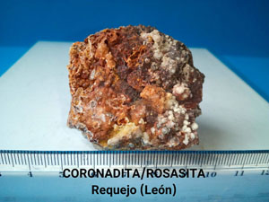 Coleccin de Minerales de Paco Riesco