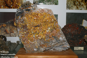 Coleccin de Minerales de Jose Miguel Sol