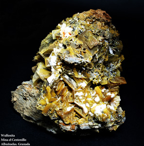 Coleccin de Minerales de Jose Miguel Sol