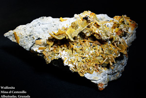 Coleccin de Minerales de Jose Miguel Sol