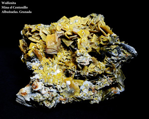 Coleccin de Minerales de Jose Miguel Sol