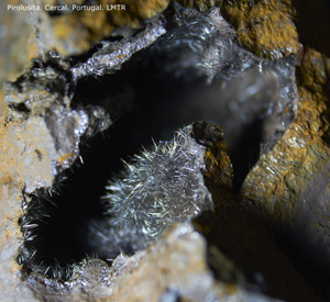 Coleccin de Minerales de Luis Triugueros