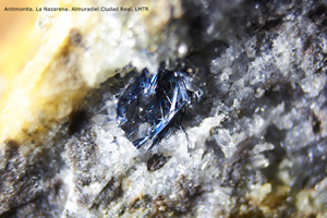 Coleccin de Minerales de Luis Triugueros