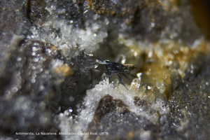 Coleccin de Minerales de Luis Triugueros