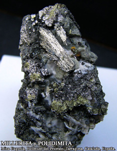 Coleccin de Minerales de Jose Luis Zamora Rubio