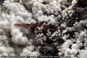 Coleccin de Minerales de Jose Luis Zamora Rubio