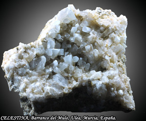 Coleccin de Minerales de Jose Luis Zamora Rubio