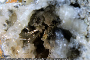 Coleccin de Minerales de Jose Luis Zamora Rubio