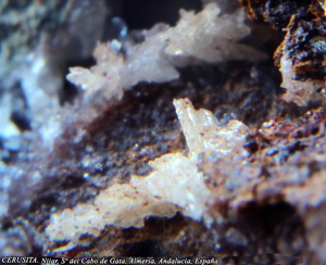 Coleccin de Minerales de Jose Luis Zamora Rubio