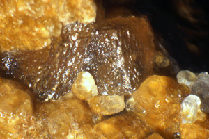 Coleccin de Minerales de Jose Luis Zamora Rubio