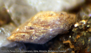 Coleccin de Minerales de Jose Luis Zamora Rubio