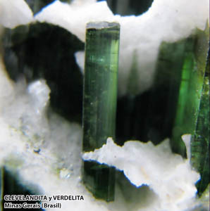 Coleccin de Minerales de Jose Luis Zamora Rubio