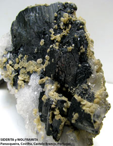 Coleccin de Minerales de Jose Luis Zamora Rubio