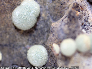 Coleccin de Minerales de Jose Luis Zamora Rubio