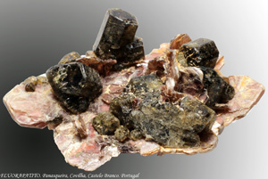 Coleccin de Minerales de Jose Luis Zamora Rubio