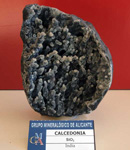 Grupo Mineralógico de Alicante. Exposición de Minerales en San Alberto Magno. Universidad de Alicante
