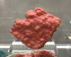 Bologna Mineral Show 2025