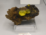 Bologna Mineral Show 2025