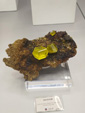 Bologna Mineral Show 2025