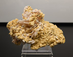 Bologna Mineral Show 2025