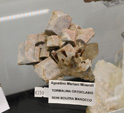 Bologna Mineral Show 2025