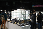 Feria de Minerales de Bolonia 2026