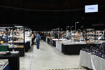 Feria de Minerales de Bolonia 2026