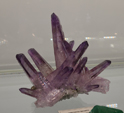 Feria de Minerales de Bolonia 2026