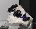 Feria de Minerales de Bolonia 2026