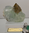 Feria de Minerales de Bolonia 2026