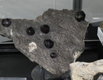Feria de Minerales de Bolonia 2026