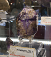 Feria de Minerales de Bolonia 2026