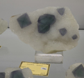 Feria de Minerales de Bolonia 2026