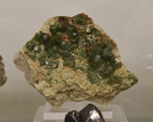 Feria de Minerales de Bolonia 2026