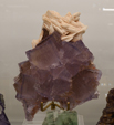 Feria de Minerales de Bolonia 2026