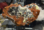 Feria de Minerales de Bolonia 2026