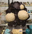 Feria de Minerales de Bolonia 2026