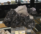 Feria de Minerales de Bolonia 2026